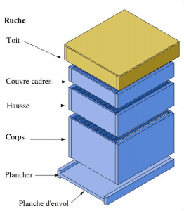 Schéma d'une ruche