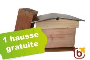 ruche-plume-sol-plast-toit-chalet-+-hausse