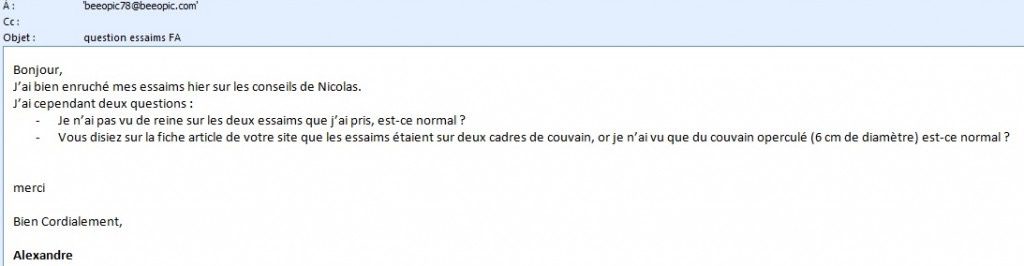 question beeopic