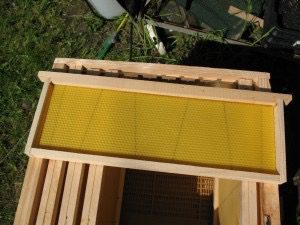 cadre_hausse_IMG_0487