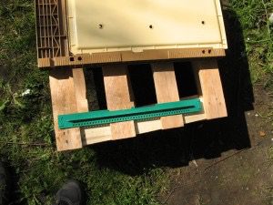 porte_anti_frelon_IMG_0485