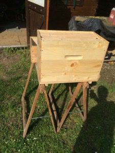 ruchette_IMG_4177