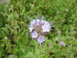 IMG_0640