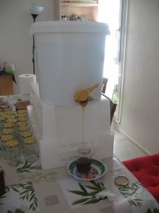 mise en pot