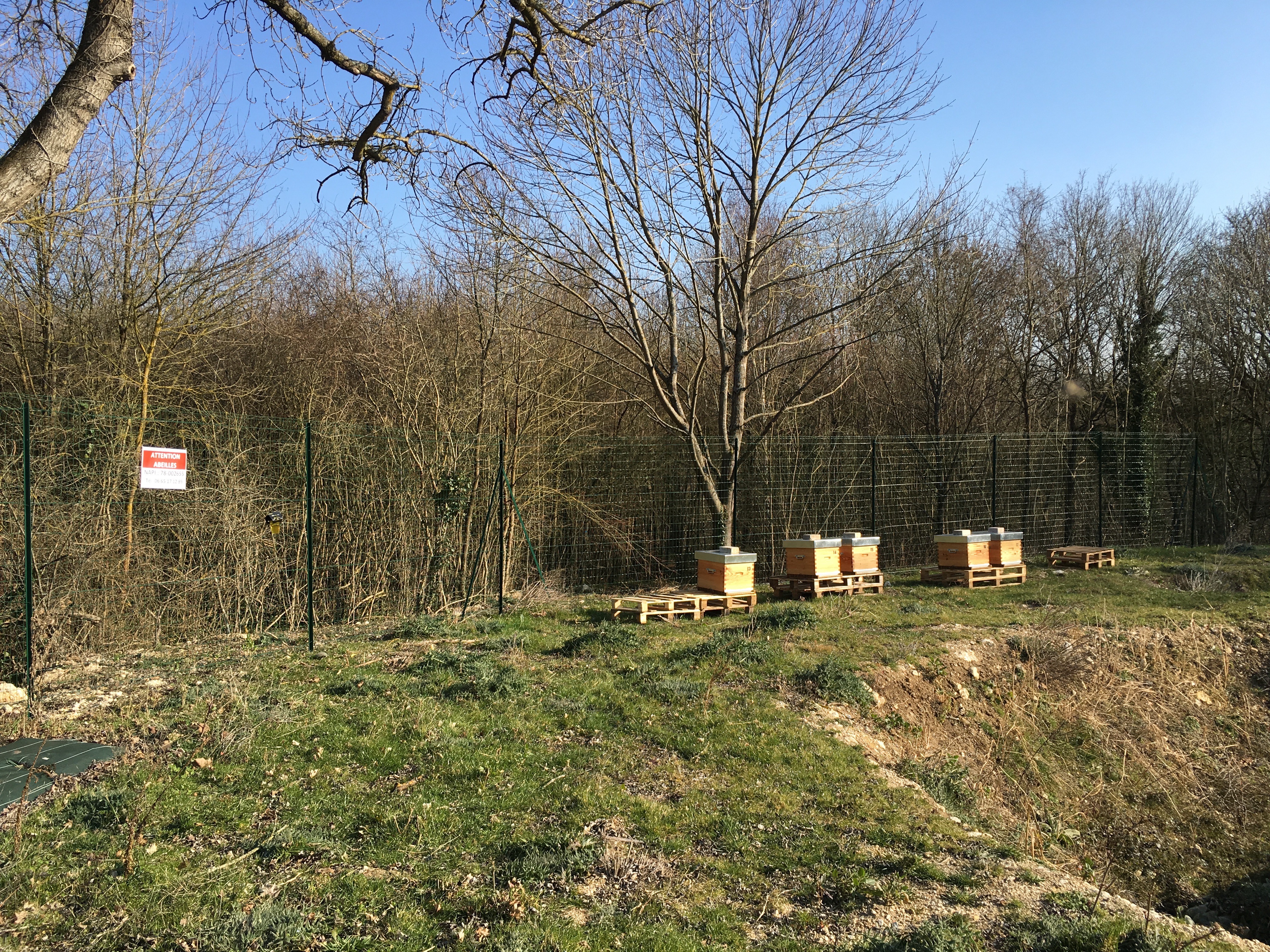 Nouveaux ruchers, cadres, hausses et abeilles