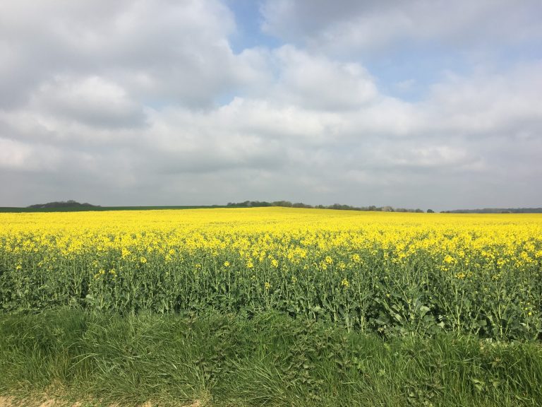 Les Ruchers d'Alexandre, apiculteur à Brueil en Vexin