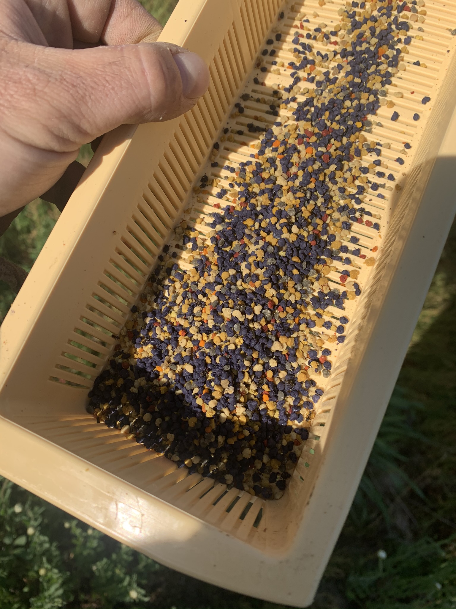 Pollen de fleurs LRA du Vexin 200g – Image 7