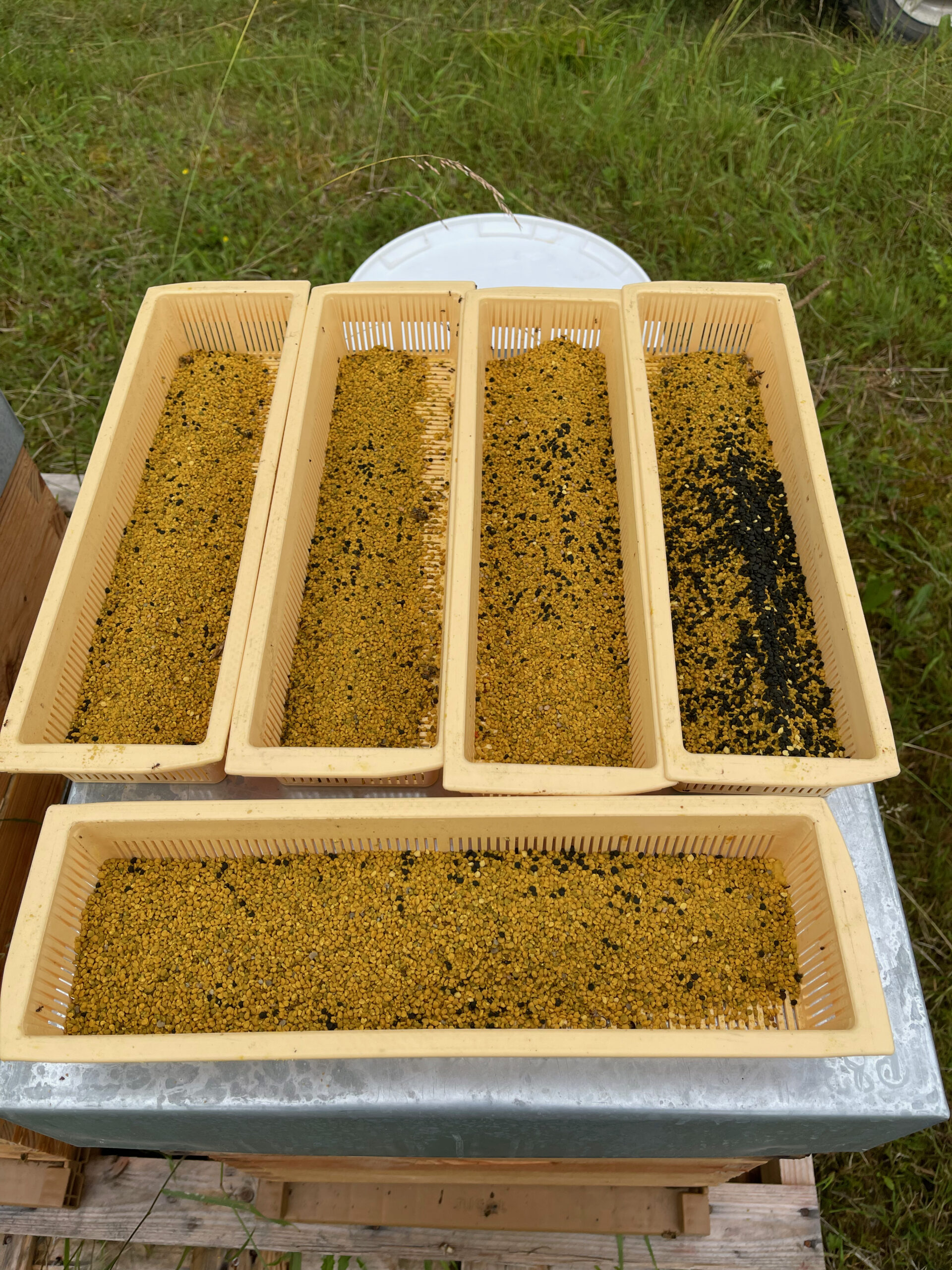Pollen de fleurs LRA du Vexin 200g – Image 11