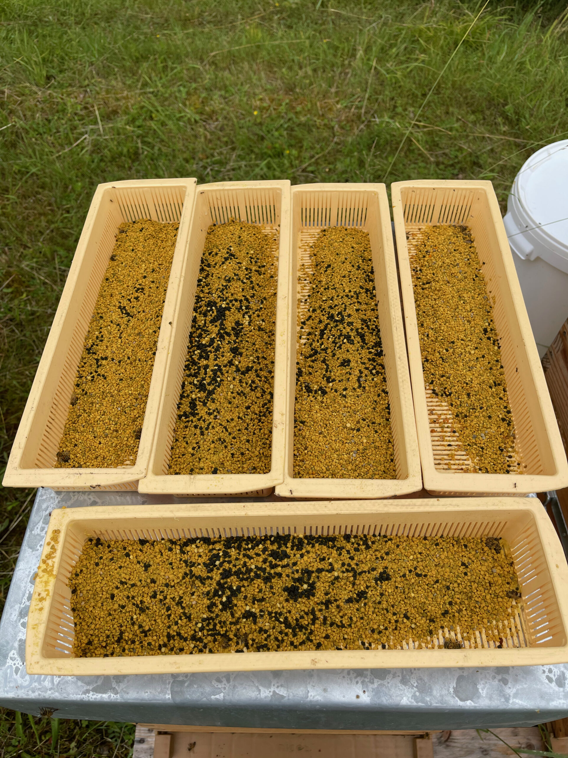Pollen de fleurs LRA du Vexin 200g – Image 12