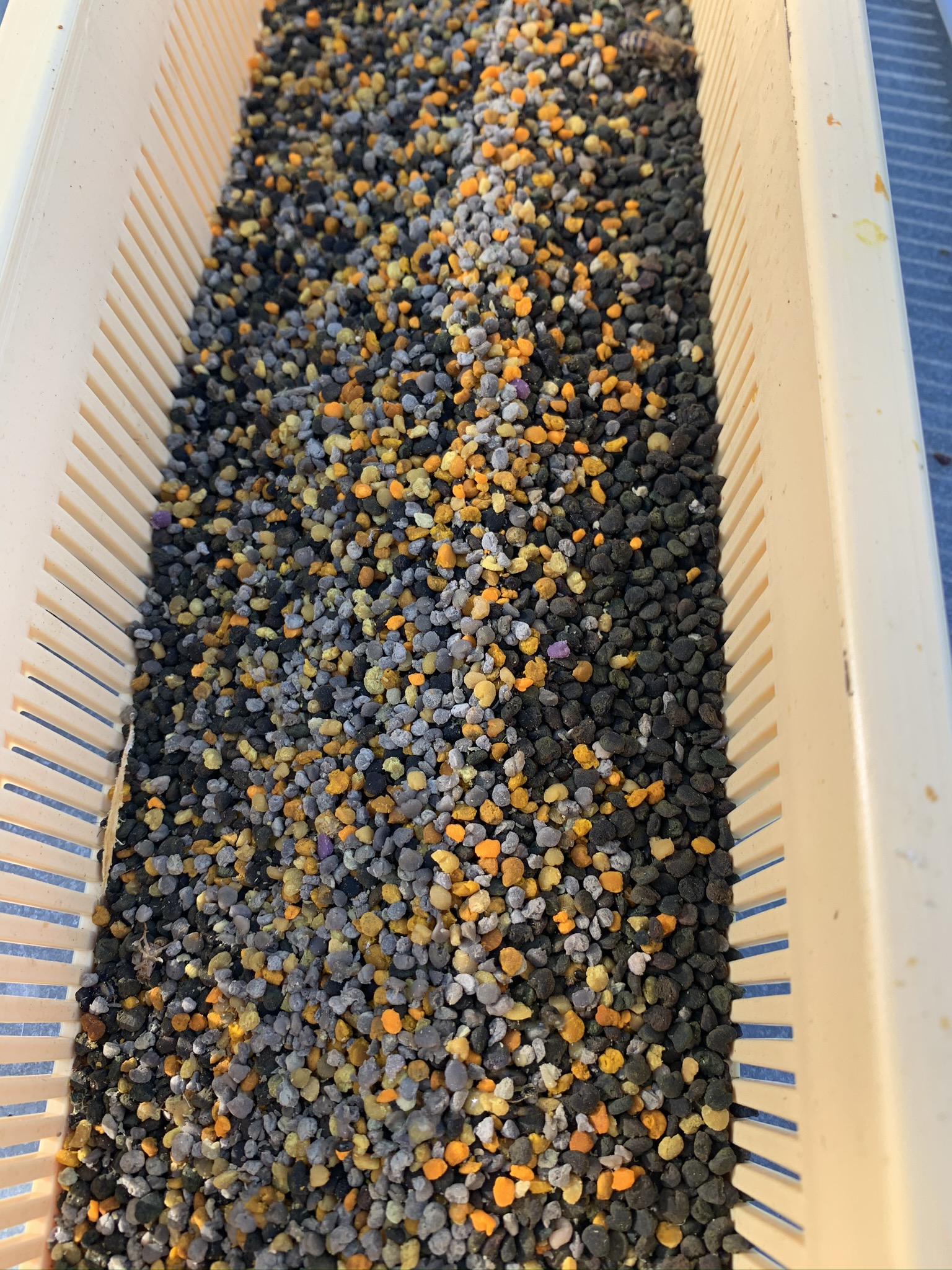 Pollen de fleurs LRA du Vexin 200g – Image 8