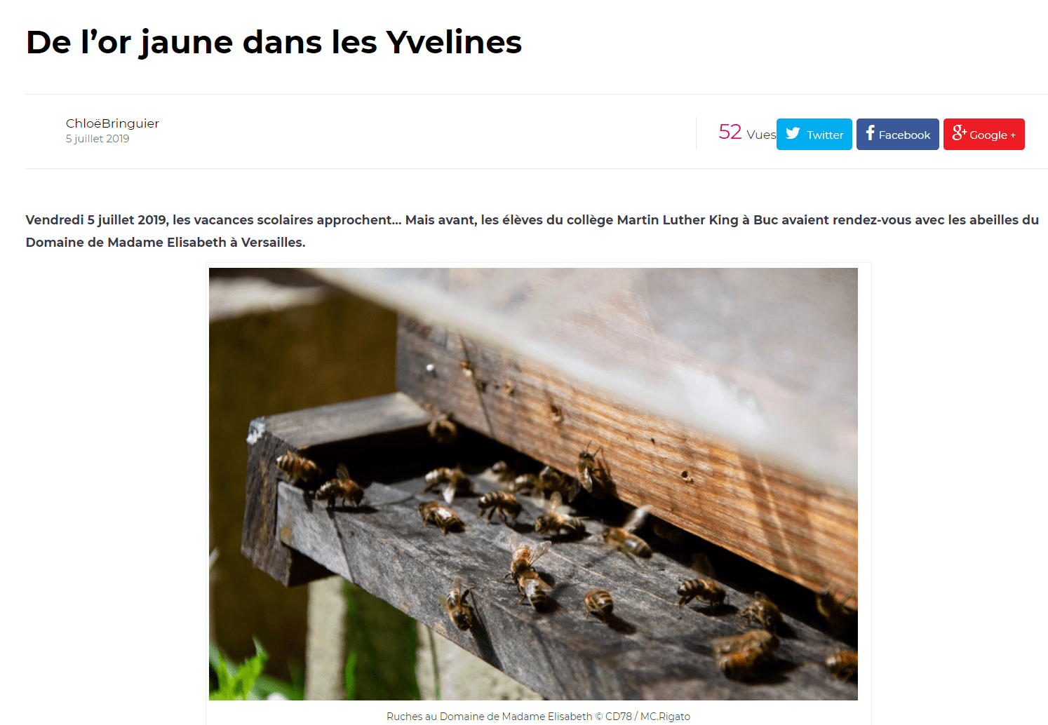 De l'or jaune dans les Yvelines De l'or jaune dans les Yvelines