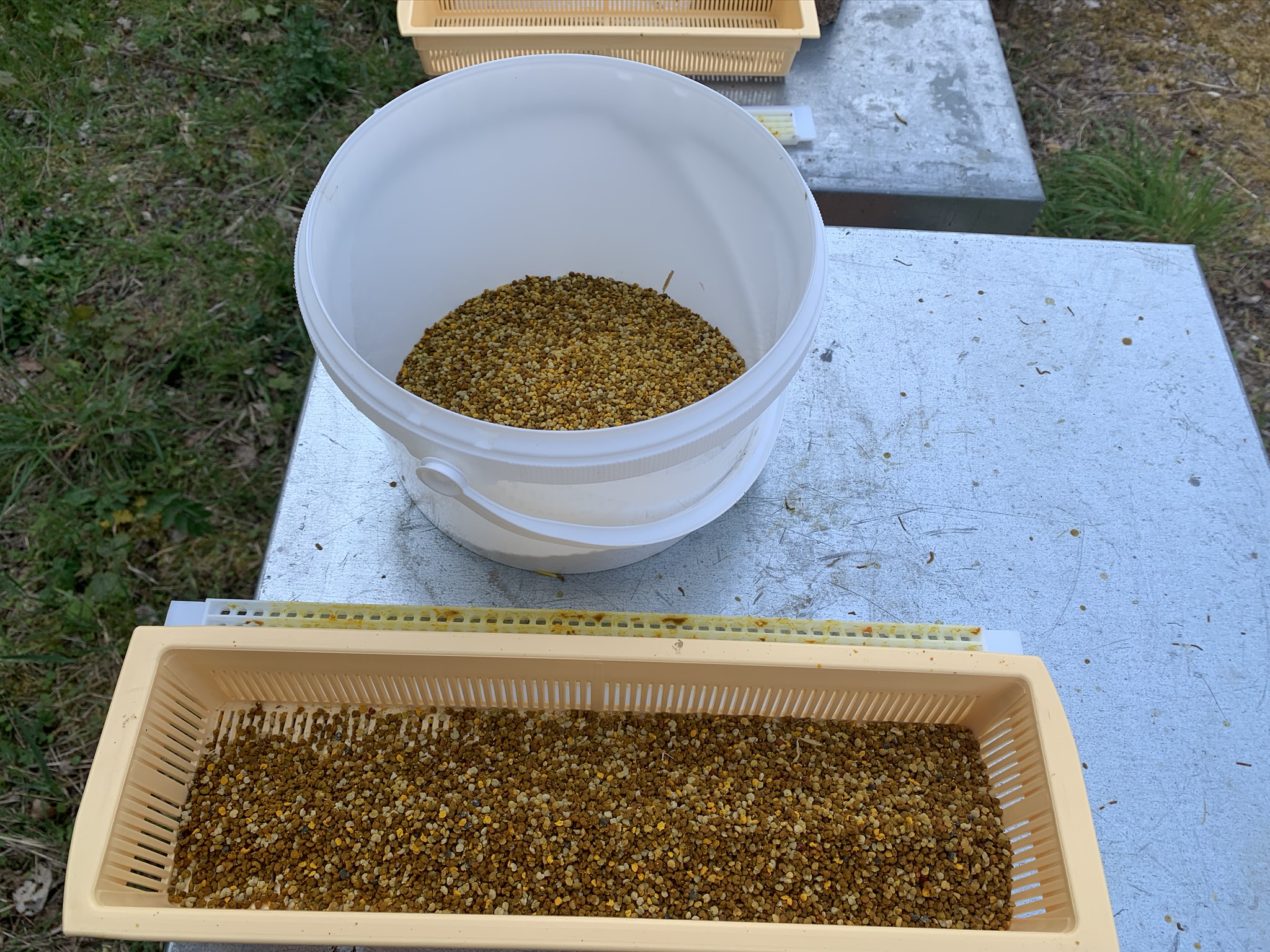 Pollen de fleurs LRA du Vexin 200g – Image 3