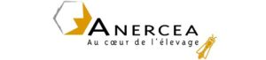 Anercea