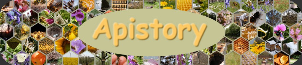 Apistory : Des abeilles, des fleurs et des histoires...