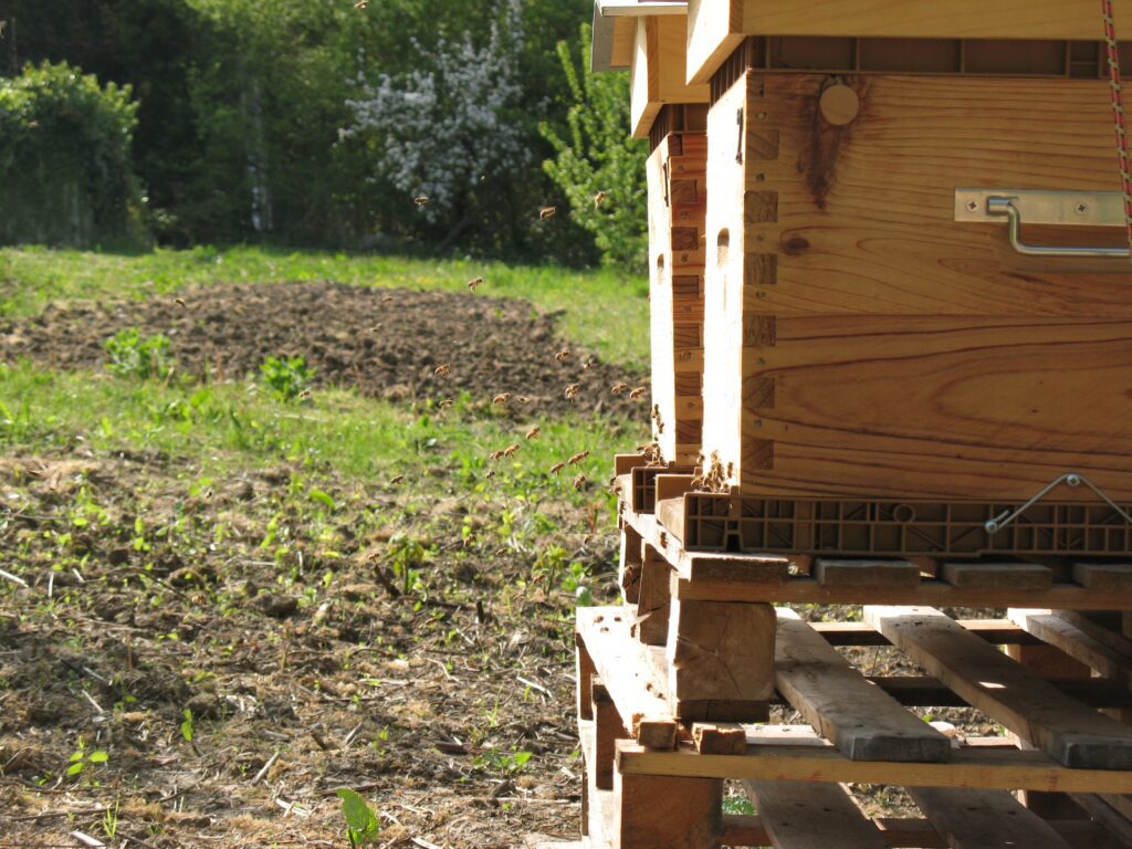 Parrainage de ruches dans les Yvelines, Hauts-de-Seine et l'Eure Parrainage de ruches