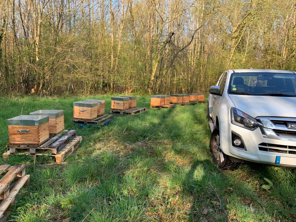 Les Ruchers d'Alexandre, apiculteur dans les Yvelines