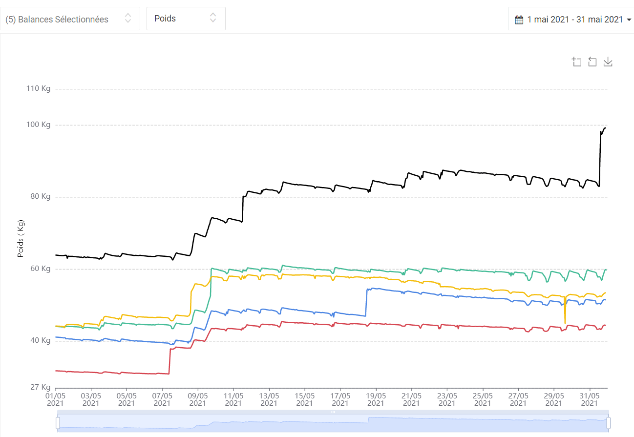 Balances-2021-05-1