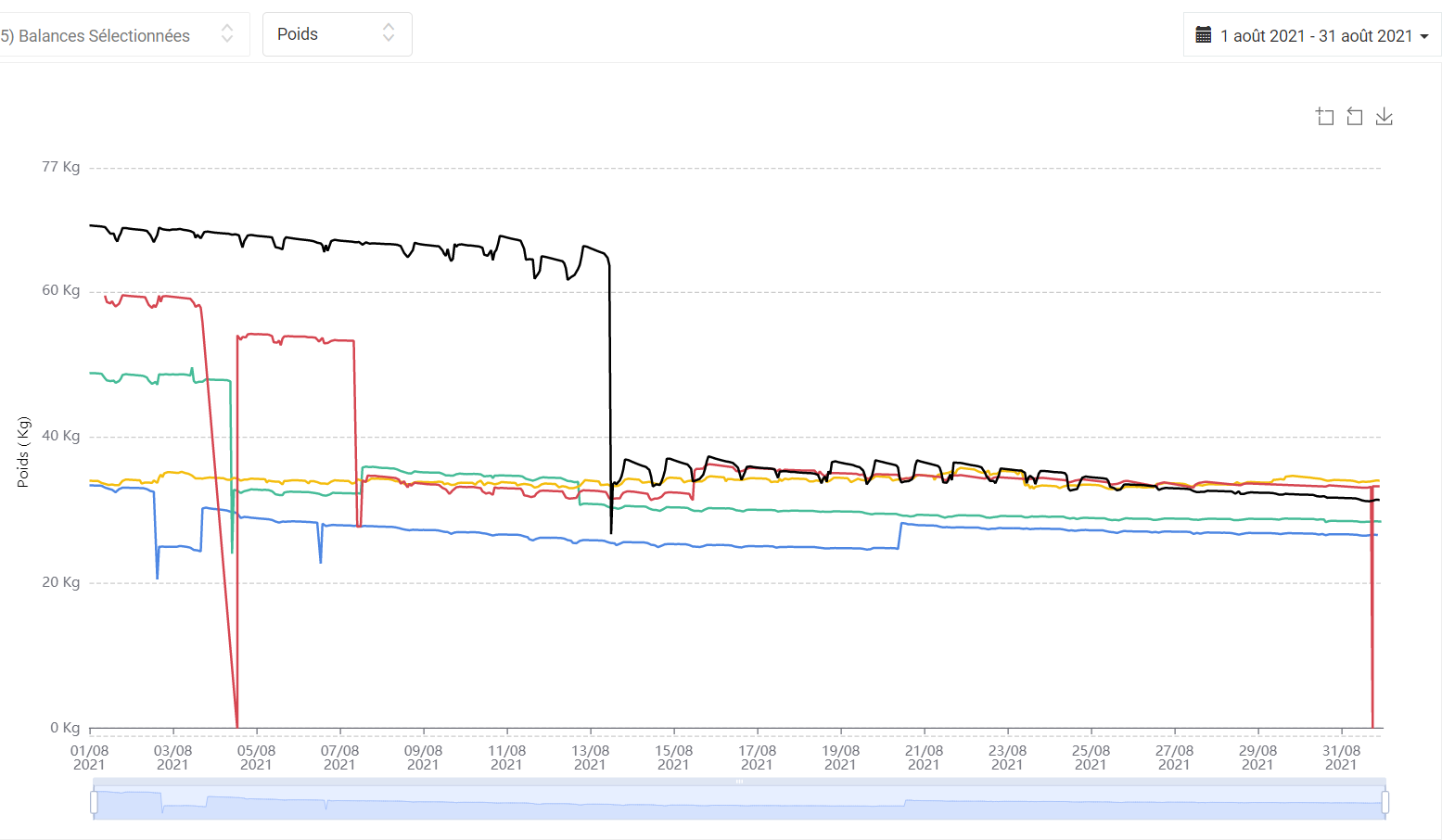 Balances-2021-08-1