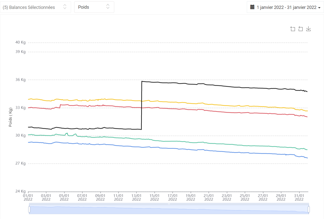 Balances-2022-01-1