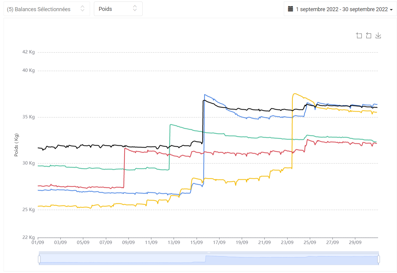 Balances-2022-09-01
