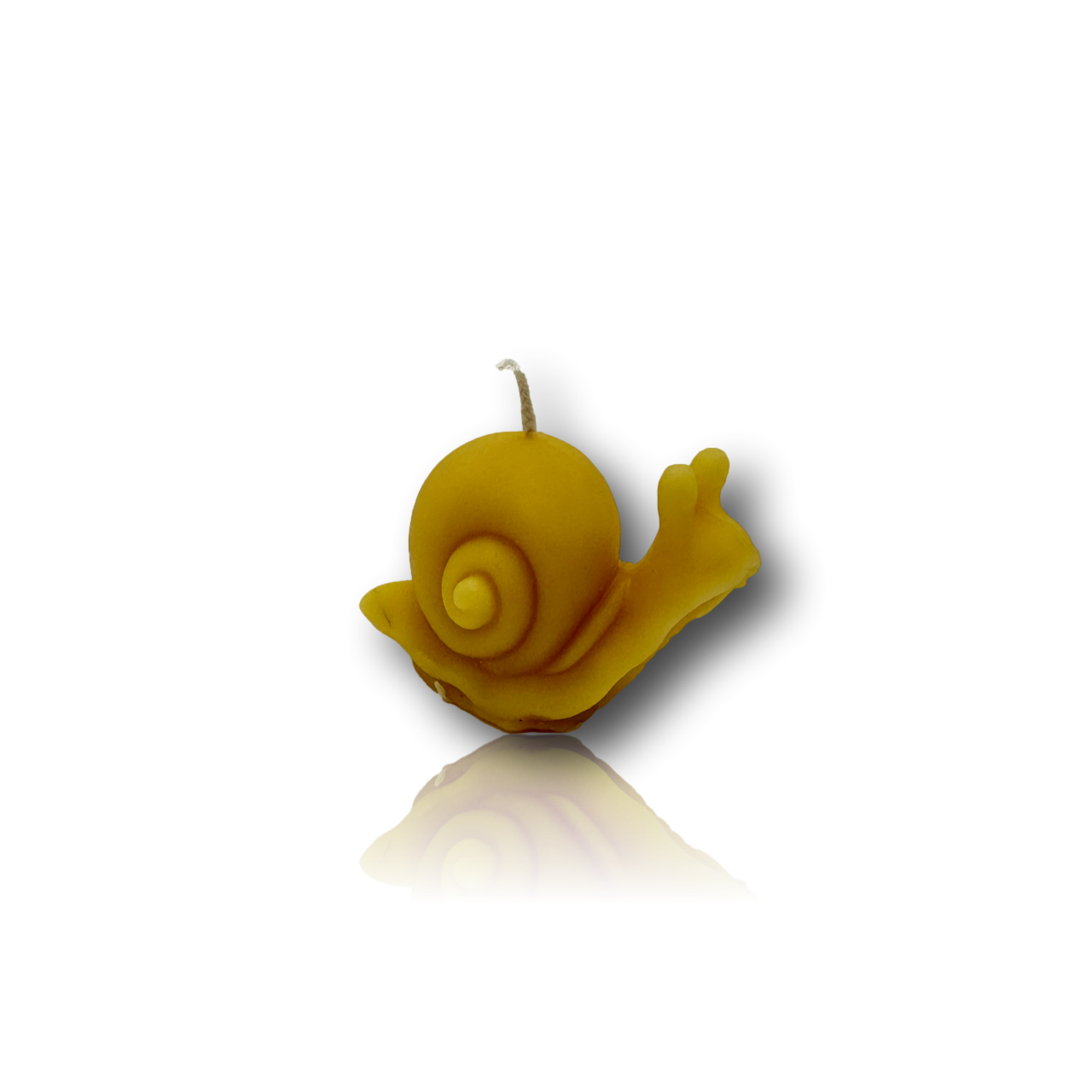 Bougie escargot