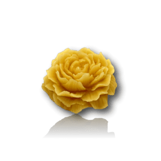 Fleur de cire